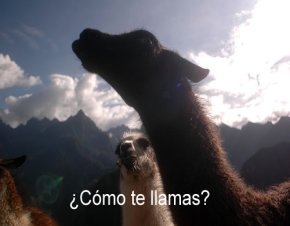 Cómo te llamas