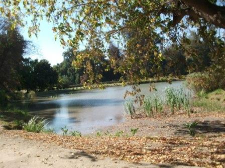 chile-concha-y-toro-beautiful-grounds-lake.JPG
