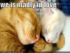 madly-in-love