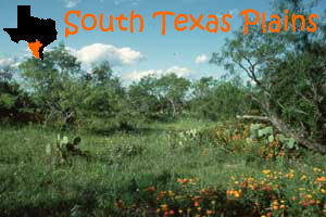 texas-south-plains.jpg