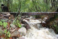 water-under-the-bridge.jpg